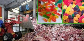 How Gummy Candies Are Actually Made