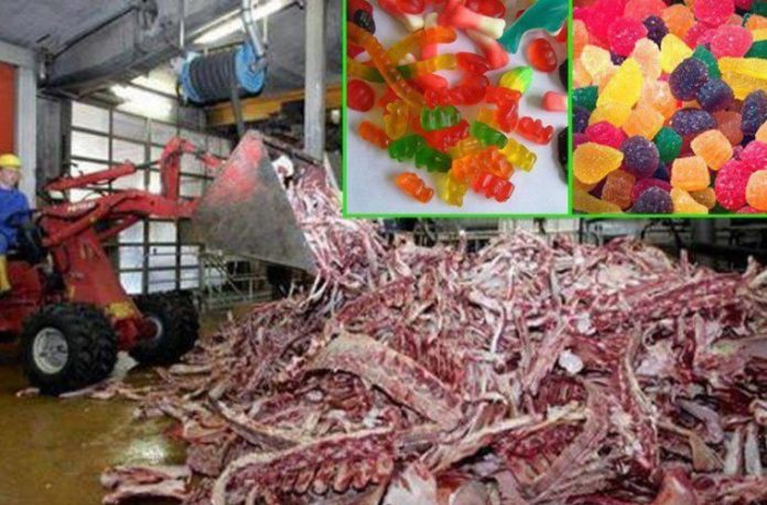 How Gummy Candies Are Actually Made