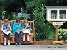 Little Free Libraries