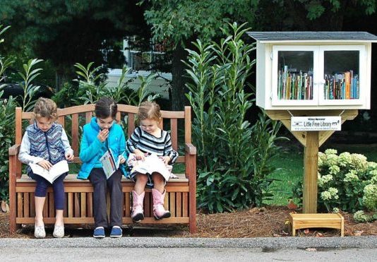 Little Free Libraries