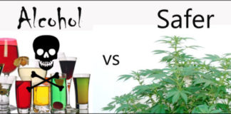 Marijuana and alcohol use