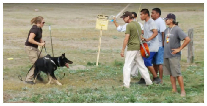 DAPL Guards