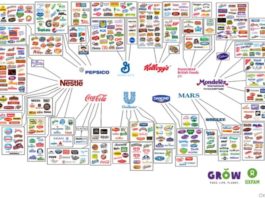 corporations controlling food