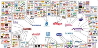 corporations controlling food