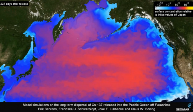 majority backs nuclear time since fukushima