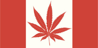 canada cannabis