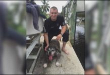 Killed Elderly Librarian