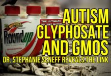 Glyphosate and Autism