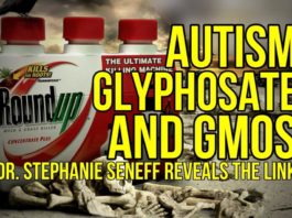 Glyphosate and Autism