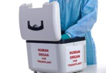 human organs