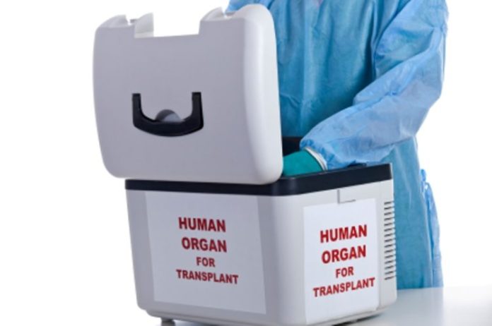 human organs