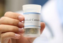 Researchers Discover Marijuana’s THC Blocks Damaging Proteins Causing Alzheimer’s