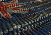 australian gun control