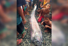 Oarfish
