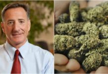 marijuana convictions