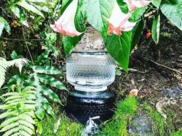 water