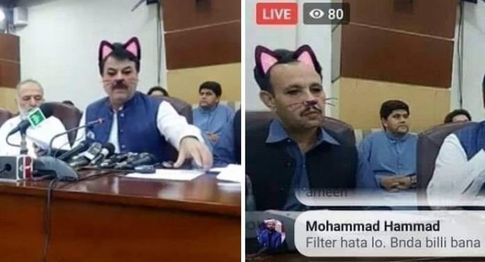 cat filter