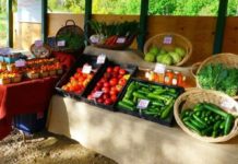 Community Outraged After City Shuts Down Farm Stand Run by Preschoolers